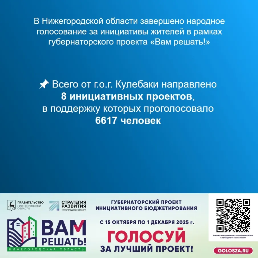 Вам решать. Всего от г.о.г. Кулебаки направлено 8 инициативных проектов, в поддержку которых проголосовало 6617 человек